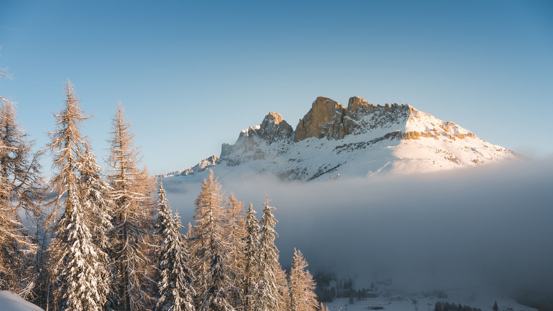 Hotel Oberlehenhof: il vostro hotel al Latemar Abeti innevati e montagne all'alba con nebbia nella valle