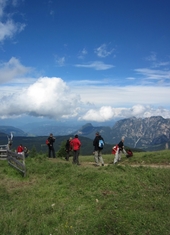 © 2025 Oberlehenhof