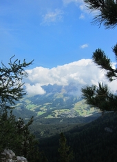 © 2025 Oberlehenhof