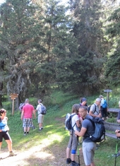 © 2025 Oberlehenhof