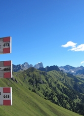 © 2025 Oberlehenhof