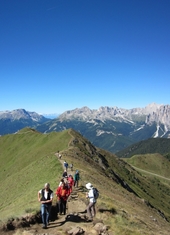 © 2025 Oberlehenhof