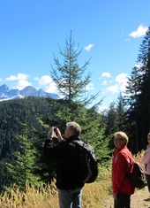 © 2025 Oberlehenhof