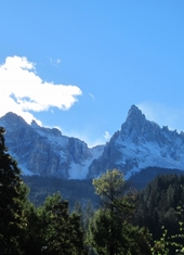 © 2025 Oberlehenhof