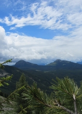 © 2025 Oberlehenhof
