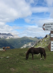 © 2025 Oberlehenhof