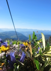 © 2025 Oberlehenhof