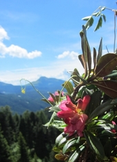 © 2025 Oberlehenhof