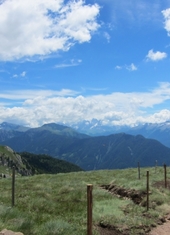 © 2025 Oberlehenhof