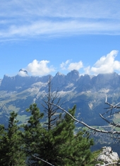 © 2025 Oberlehenhof