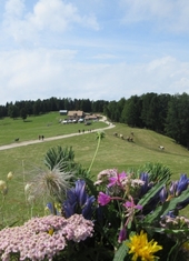 © 2025 Oberlehenhof