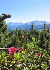 © 2025 Oberlehenhof