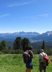 © 2025 Oberlehenhof