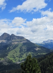 © 2025 Oberlehenhof