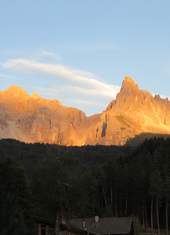 © 2025 Oberlehenhof