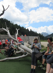 © 2025 Oberlehenhof
