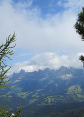 © 2025 Oberlehenhof