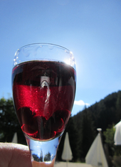 © 2025 Oberlehenhof