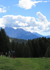 © 2025 Oberlehenhof