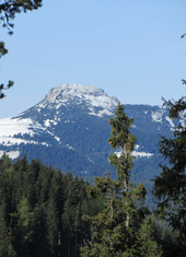 © 2025 Oberlehenhof