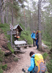 © 2025 Oberlehenhof