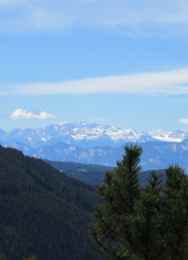 © 2025 Oberlehenhof