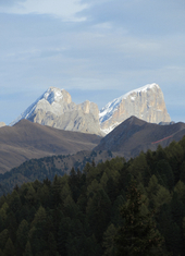© 2025 Oberlehenhof