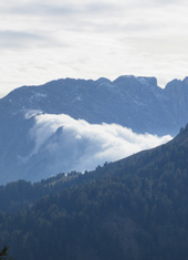 © 2025 Oberlehenhof