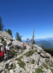 © 2025 Oberlehenhof