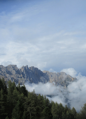 © 2025 Oberlehenhof