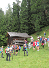© 2025 Oberlehenhof