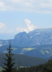© 2025 Oberlehenhof
