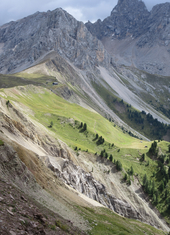 © 2025 Oberlehenhof