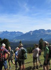 © 2025 Oberlehenhof