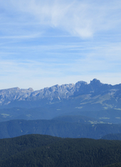 © 2025 Oberlehenhof