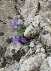 © 2025 Oberlehenhof
