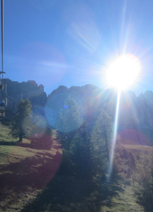 © 2025 Oberlehenhof