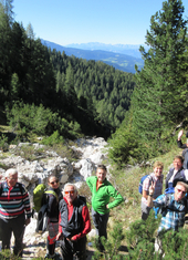 © 2025 Oberlehenhof