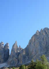 © 2025 Oberlehenhof