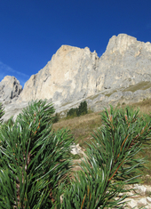 © 2025 Oberlehenhof