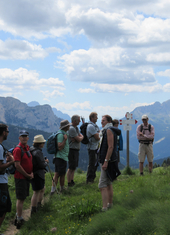 © 2025 Oberlehenhof