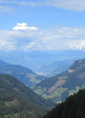 © 2025 Oberlehenhof