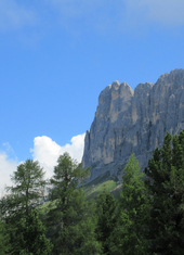 © 2025 Oberlehenhof