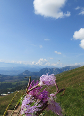 © 2025 Oberlehenhof