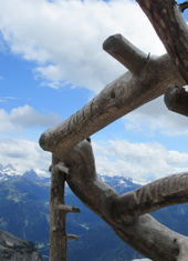 © 2025 Oberlehenhof