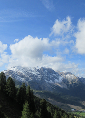 © 2025 Oberlehenhof