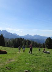 © 2025 Oberlehenhof