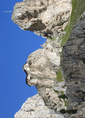 © 2025 Oberlehenhof