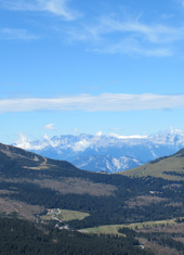 © 2025 Oberlehenhof