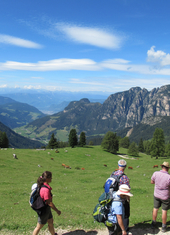 © 2025 Oberlehenhof